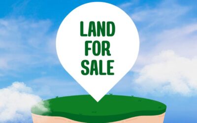 GOVERNOR’S CONSENT UNDER THE LAND USE ACT: LEGAL IMPLICATIONS