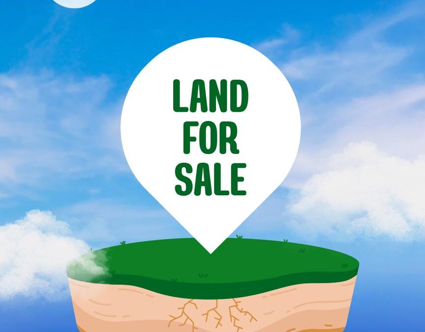 GOVERNOR’S CONSENT UNDER THE LAND USE ACT: LEGAL IMPLICATIONS